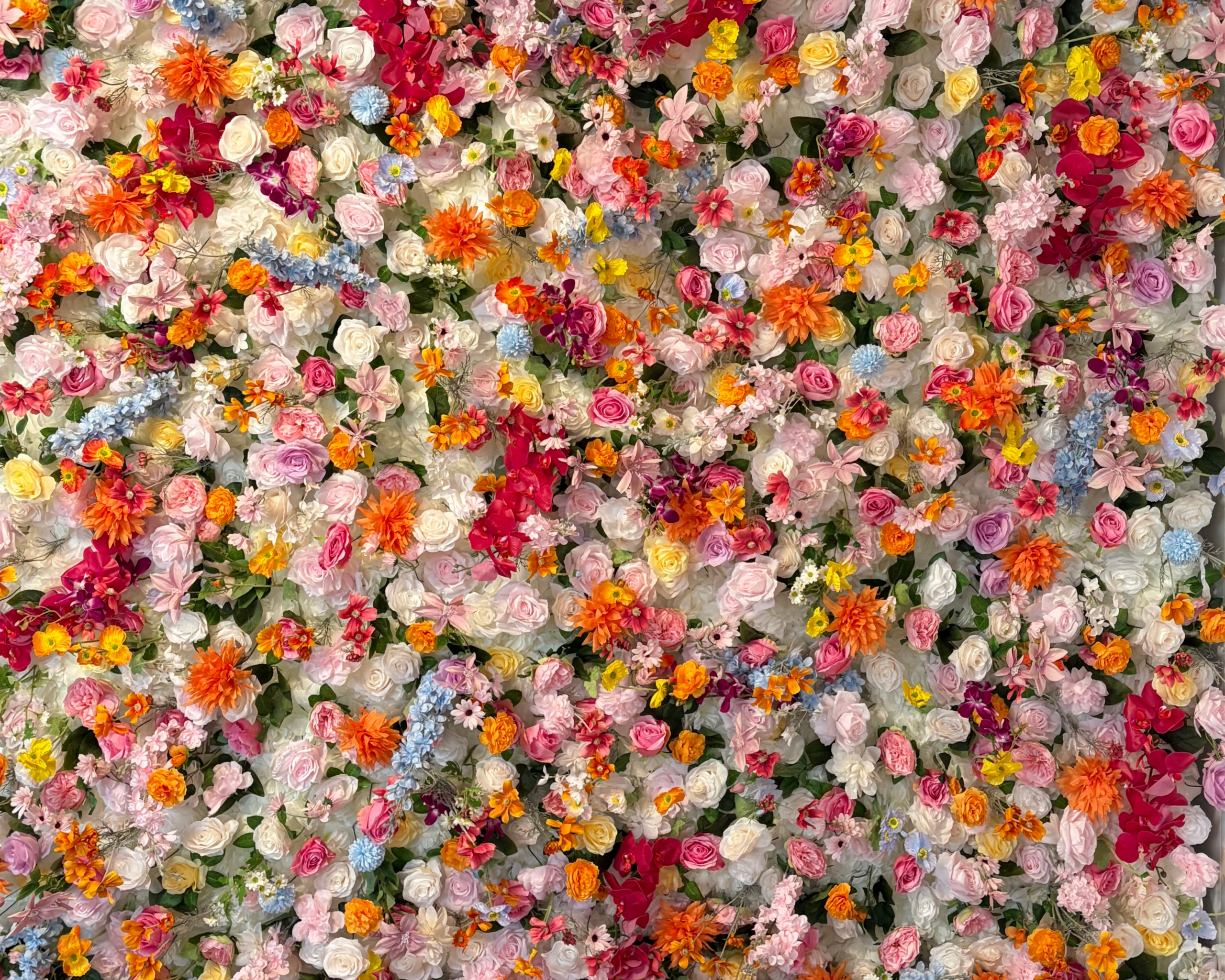 Blush Romance