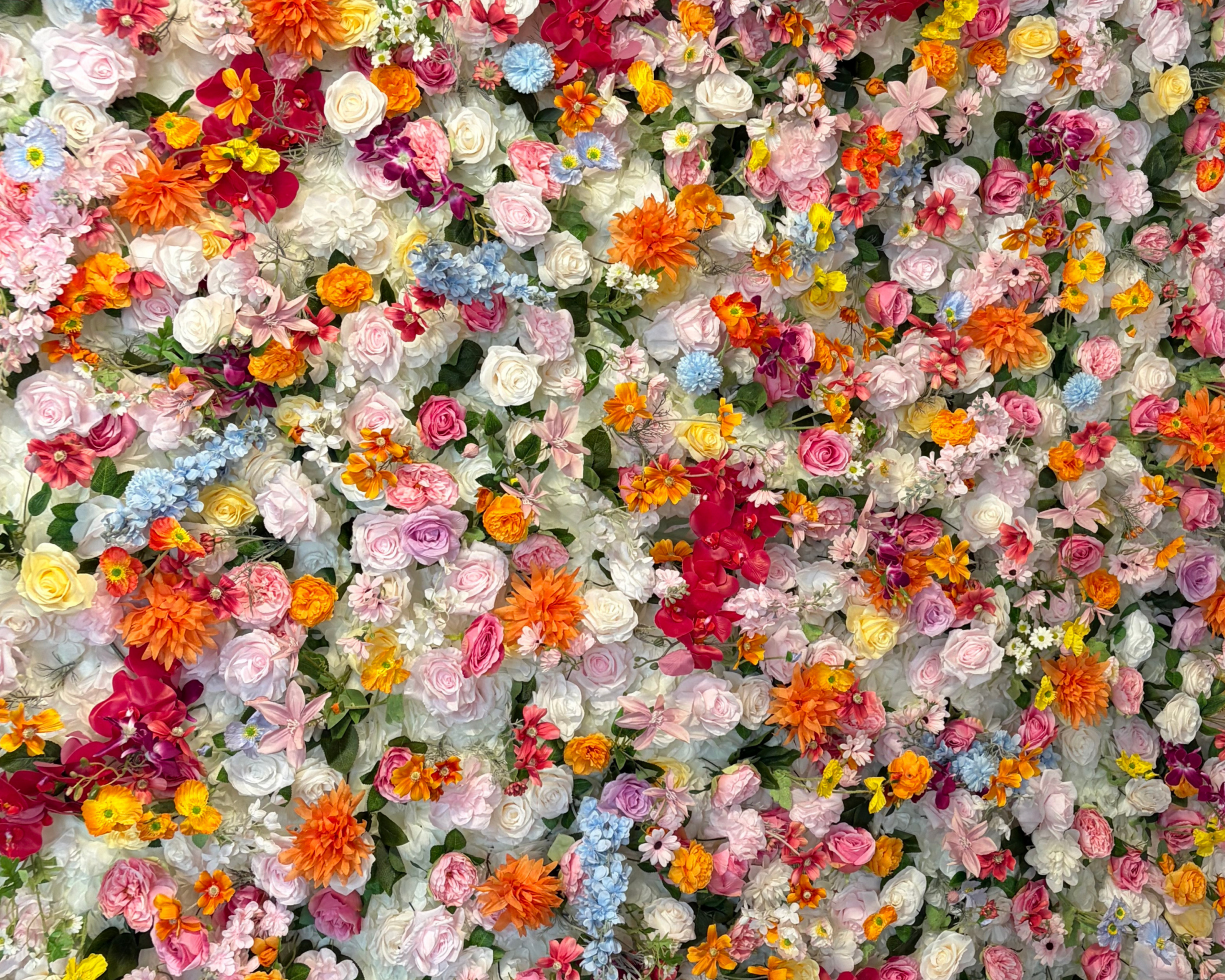 Blush Romance