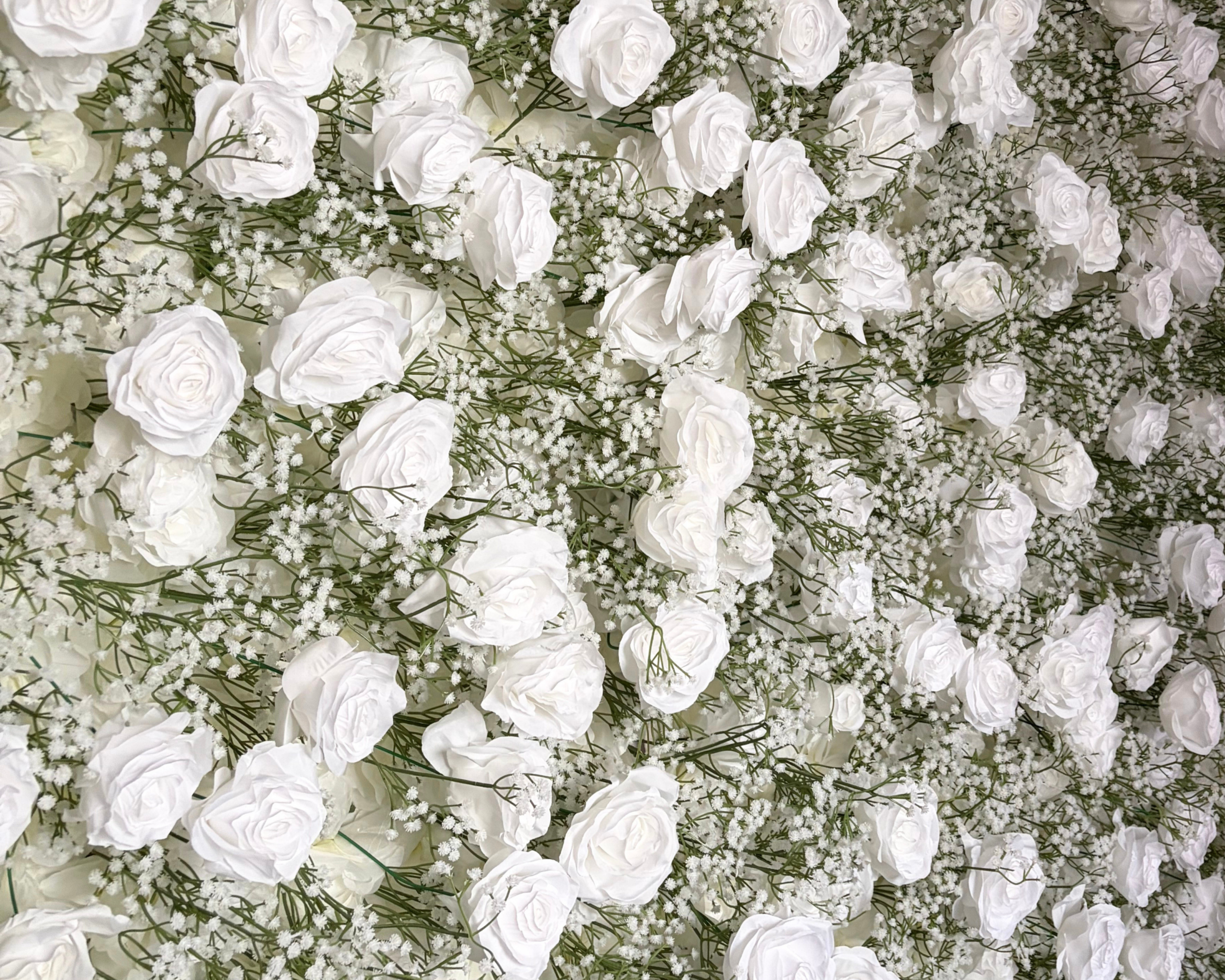 Garden Ivory