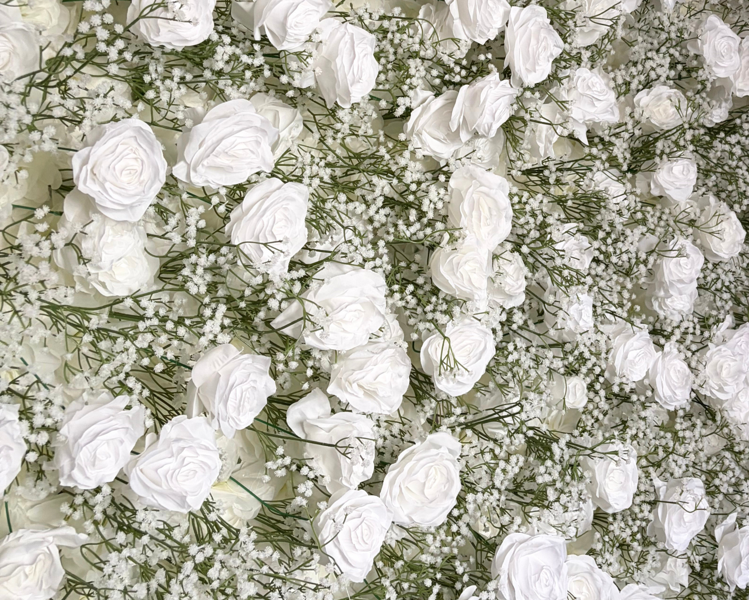 Garden Ivory