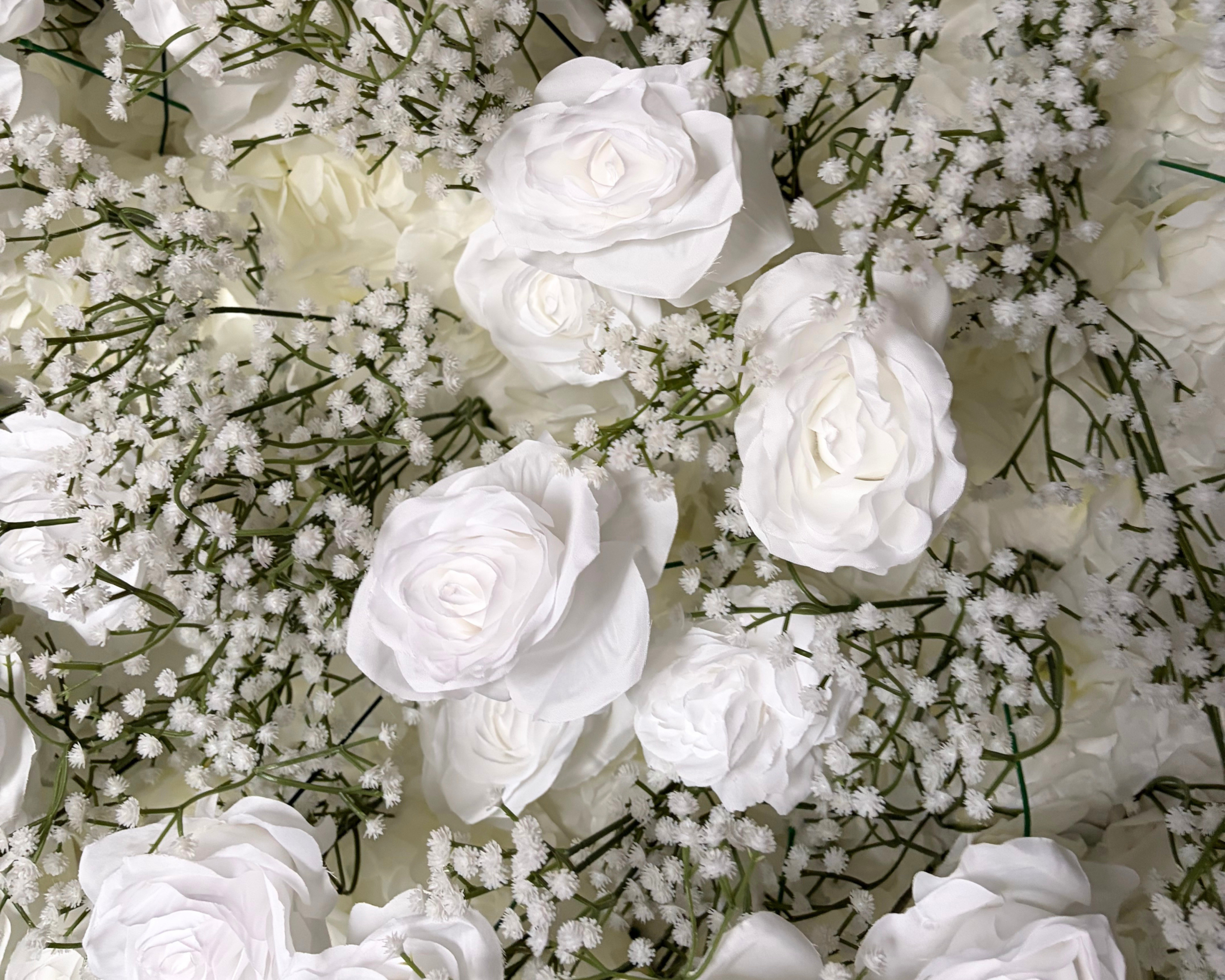 Garden Ivory